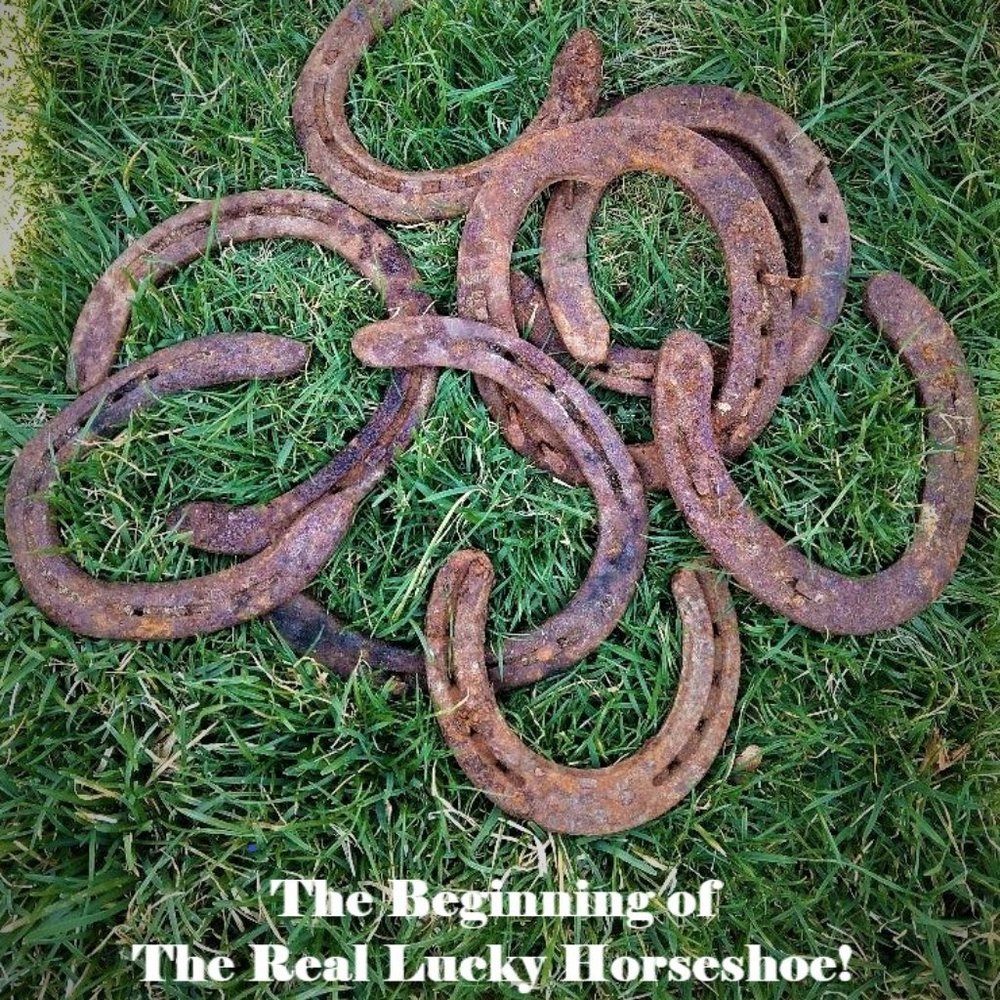 Real Lucky Horseshoe, Ready to Hang, Unique Housewarming Gift, Lucky Cha… - Picture 3 of 4